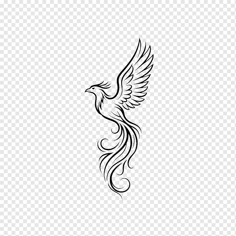 Astra — Controller